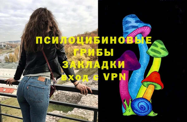 СК Михайловск