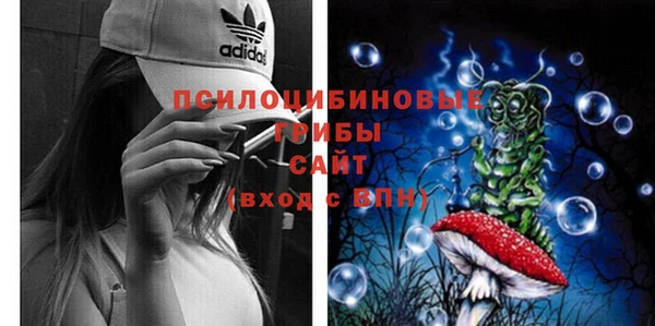 СК Михайловск