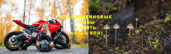 СК Михайловск