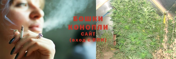 прущий лед Михайлов