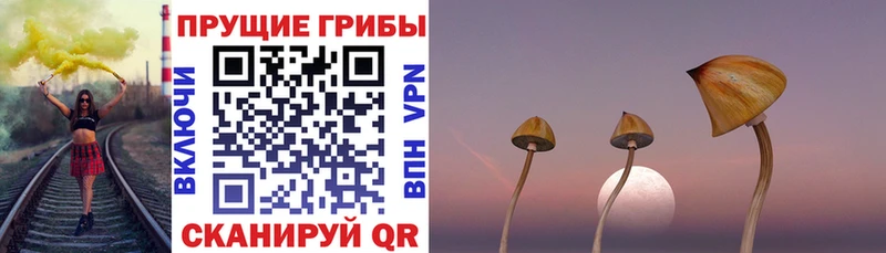 мега ссылка  Нерчинск  Псилоцибиновые грибы MAGIC MUSHROOMS 